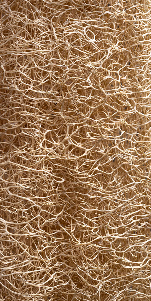 Coco Coir Production